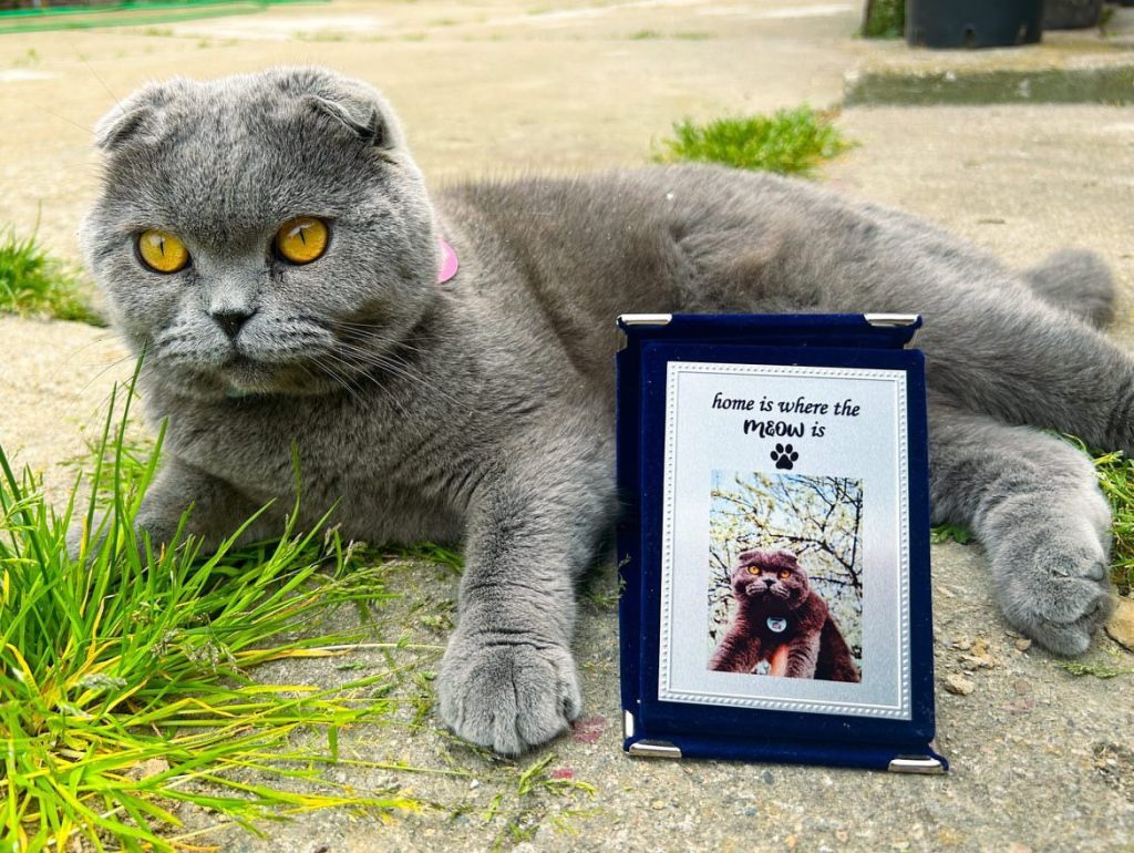 Descoperă placheta personalizată cu poza animalului tău de companie!